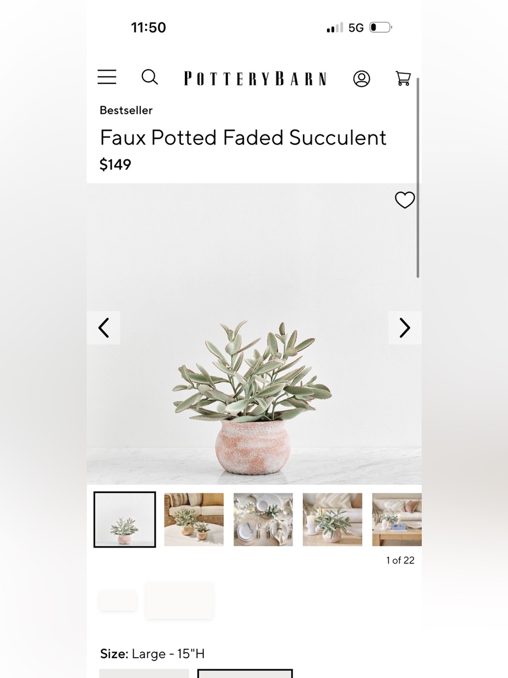 Pottery Barn Faded Green Faux Succulent in Textured Terracotta Pot